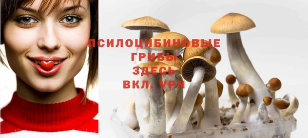 прущие грибы Баксан