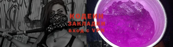 прущие грибы Баксан