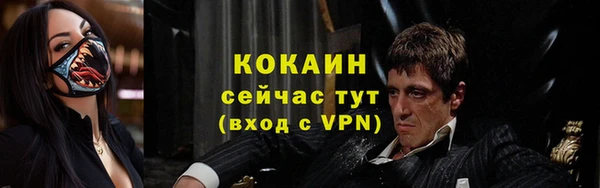 прущие грибы Баксан