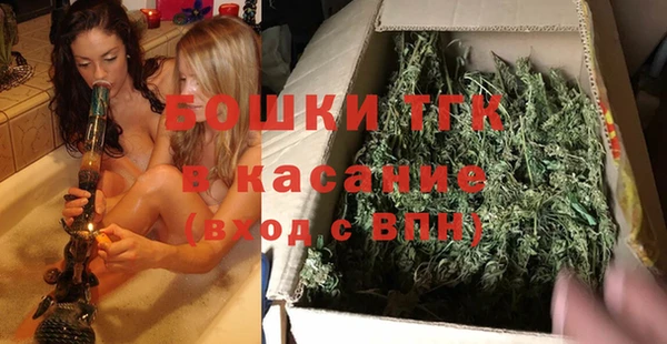 прущие грибы Баксан