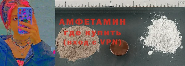 прущие грибы Баксан